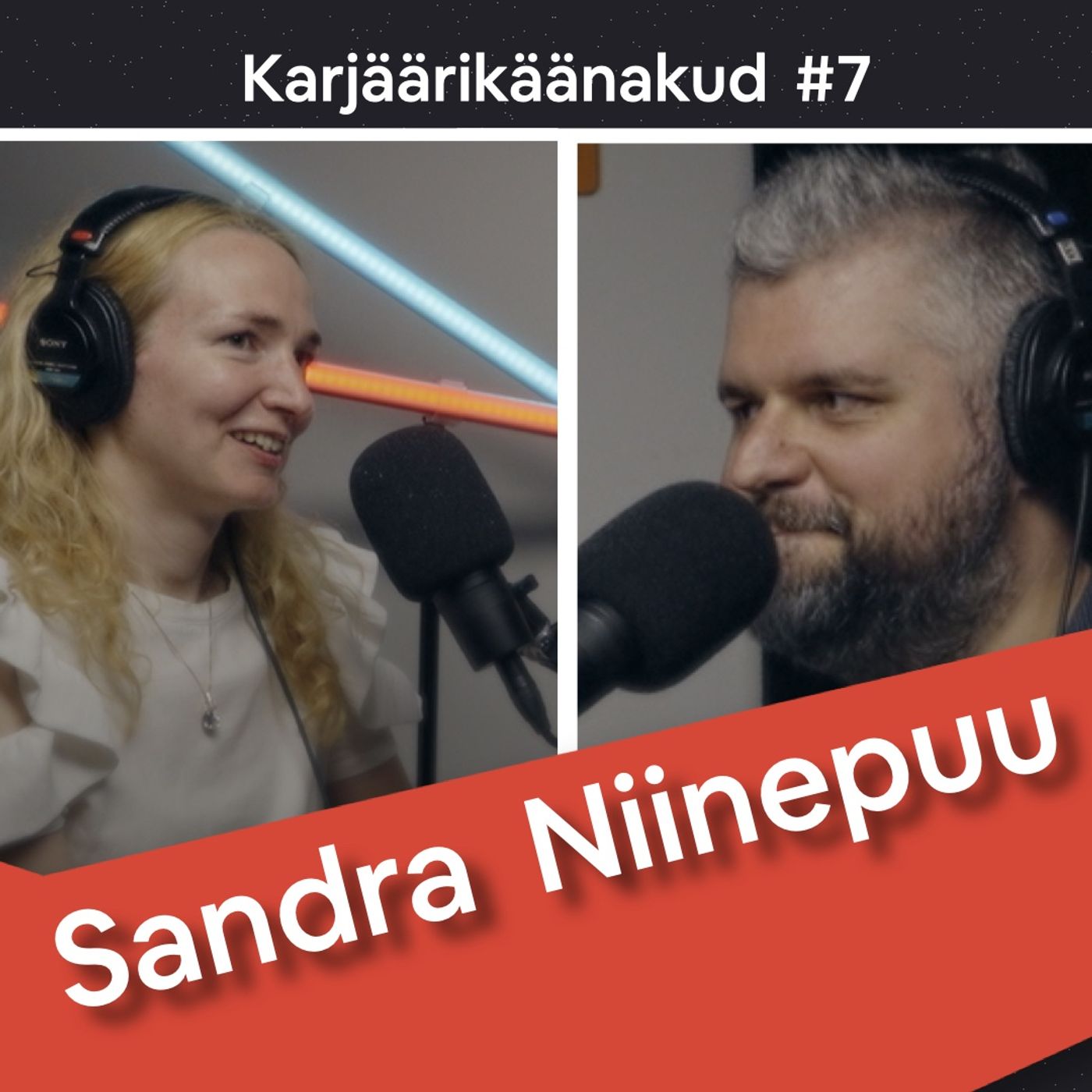 Sõjaajaloolasest sõnumiseadjaks, põikega IT-maailma